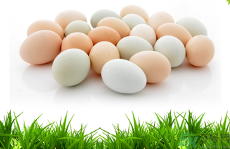 土雞蛋怎么辨別？怎么辨別土雞蛋的真假？