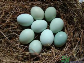 烏雞蛋多少錢(qián)一斤？烏雞蛋多少錢(qián)一個(gè)？