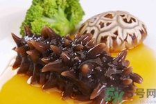 小孩能吃海參嗎？四種人不適合吃海參