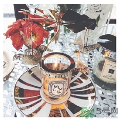 diptyque飛鳥燭臺(tái)多少錢？diptyque飛鳥燭臺(tái)哪里買？