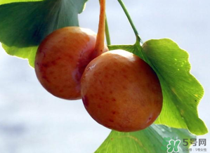 白果可以生吃嗎？白果怎么吃？