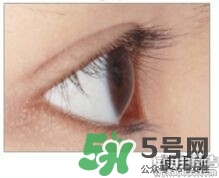 圣雪蘭睫毛增長液多少錢?圣雪蘭睫毛增長液專柜價(jià)格 圣雪蘭睫毛增長液多少錢?圣雪蘭睫毛增長液專柜價(jià)格