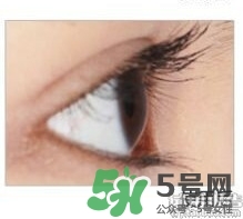 圣雪蘭睫毛增長液多少錢?圣雪蘭睫毛增長液專柜價(jià)格 圣雪蘭睫毛增長液多少錢?圣雪蘭睫毛增長液專柜價(jià)格