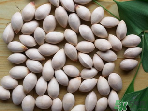 白果發(fā)霉了還能吃嗎？白果發(fā)霉了怎么處理？