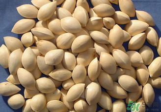 白果發(fā)霉了還能吃嗎？白果發(fā)霉了怎么處理？