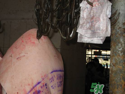 豬皮上的印章如何去除？豬肉上的印章怎么去掉？