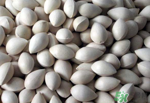 吃白果有什么好處和壞處？吃白果有什么作用？