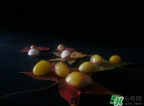 白果可以放微波爐嗎？白果放微波爐轉(zhuǎn)幾分鐘？