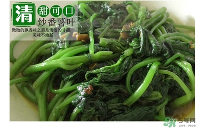 紅薯葉哺乳期可以吃嗎？紅薯葉產(chǎn)婦可以吃嗎？