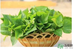 紅薯葉不能和什么一起吃？紅薯葉什么不能吃？