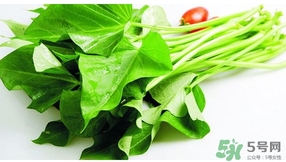 紅薯葉不能和什么一起吃？紅薯葉什么不能吃？