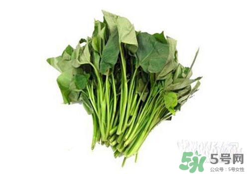 紅薯葉吃多了好嗎？紅薯葉吃多了會(huì)怎樣？