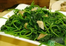 紅薯葉吃多了好嗎？紅薯葉吃多了會(huì)怎樣？