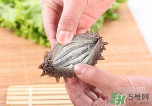 海參肚子里的筋能吃嗎？海參肚子里的筋吃了有什么作用？