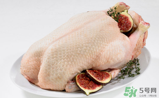 鴨肉是發(fā)物嗎？鴨肉哪些人不能吃？