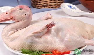 鴨肉可以放冰箱嗎？鴨肉放冰箱能保鮮多久？