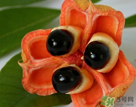 阿奇果怎么吃？阿奇果的功效作用