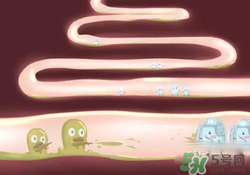 益生菌可以長期吃嗎？益生菌什么時(shí)候吃比較好？