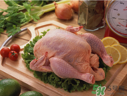 雞肉放冰箱可以放多久？雞肉放在保鮮能放多久？