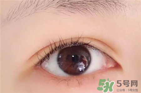 燙睫毛能保持多久?燙睫毛可以維持多久? 燙睫毛能保持多久?燙睫毛可以維持多久?