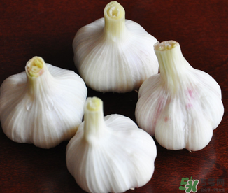 2017年大蒜多少錢一斤？2017年大蒜價(jià)格預(yù)測(cè)