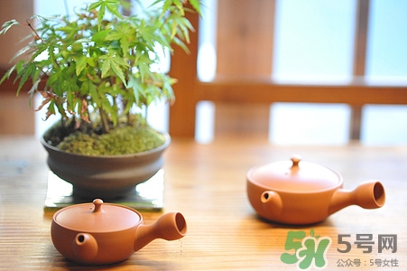 白茶可以放冰箱嗎?白茶可以存放多久 白茶可以放冰箱嗎?白茶可以存放多久