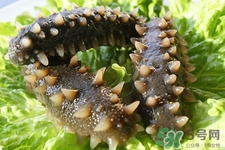 腎虛能吃海參嗎？吃海參對腎好嗎？