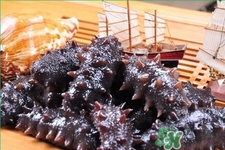 腎虛能吃海參嗎？吃海參對腎好嗎？