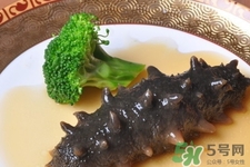 新鮮海參和干海參哪種更好？海參的品種有哪些？