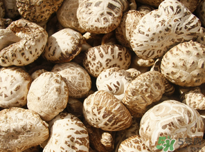 干香菇怎么保存？干香菇怎么保存不壞？