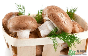 鮮香菇怎么保存？鮮香菇怎么保存時(shí)間長？