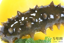 怎樣鑒別新鮮海參的好壞？干海參如何鑒別真假