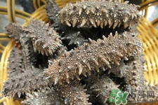 怎樣鑒別新鮮海參的好壞？干海參如何鑒別真假