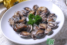 鮑魚能冷凍嗎？鮑魚可以放冰箱冷藏嗎？