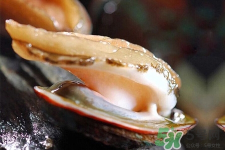 新鮮鮑魚可以放多久？活鮑魚怎樣存放時(shí)間更長？