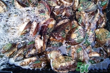 女人吃鮑魚有什么好處嗎？女人經(jīng)期能吃鮑魚嗎？