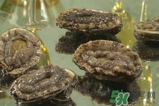 吃鮑魚要注意些什么？吃鮑魚會過敏嗎？