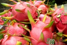 火龍果能天天吃嗎？火龍果每天都吃好嗎？