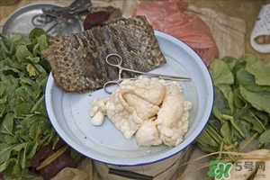 吃蛇肉有什么好處?蛇肉的營養(yǎng)價值及功效 吃蛇肉有什么好處?蛇肉的營養(yǎng)價值及功效