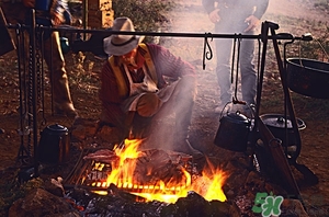 吃蛇肉有什么好處?蛇肉的營養(yǎng)價值及功效 吃蛇肉有什么好處?蛇肉的營養(yǎng)價值及功效