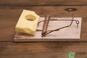 減肥期間可以吃奶酪嗎?奶酪的熱量是多少 減肥期間可以吃奶酪嗎?奶酪的熱量是多少