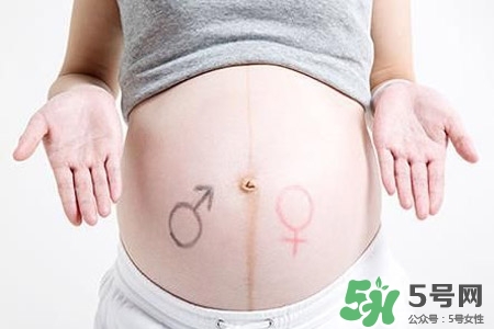 孕婦能吃瓜子嗎？孕婦吃瓜子對身體好嗎？