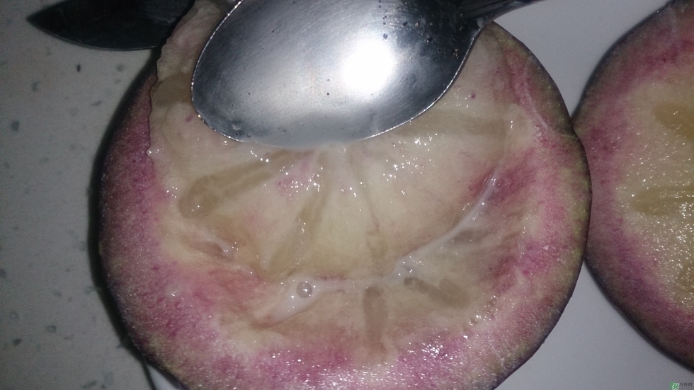 牛奶果怎么吃？牛奶果的功效與作用