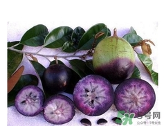 牛奶果怎么吃？牛奶果的功效與作用