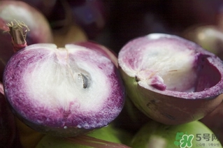 牛奶果怎么吃？牛奶果的功效與作用