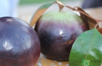 牛奶果怎么吃？牛奶果的功效與作用