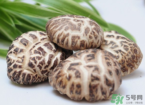 吃香菇有什么好處？吃香菇有什么壞處？