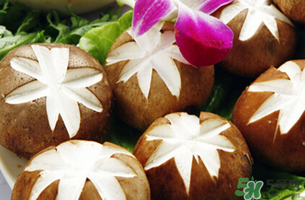 吃香菇有什么好處？吃香菇有什么壞處？