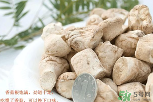 香菇根能吃嗎？香菇的根可以吃嗎？