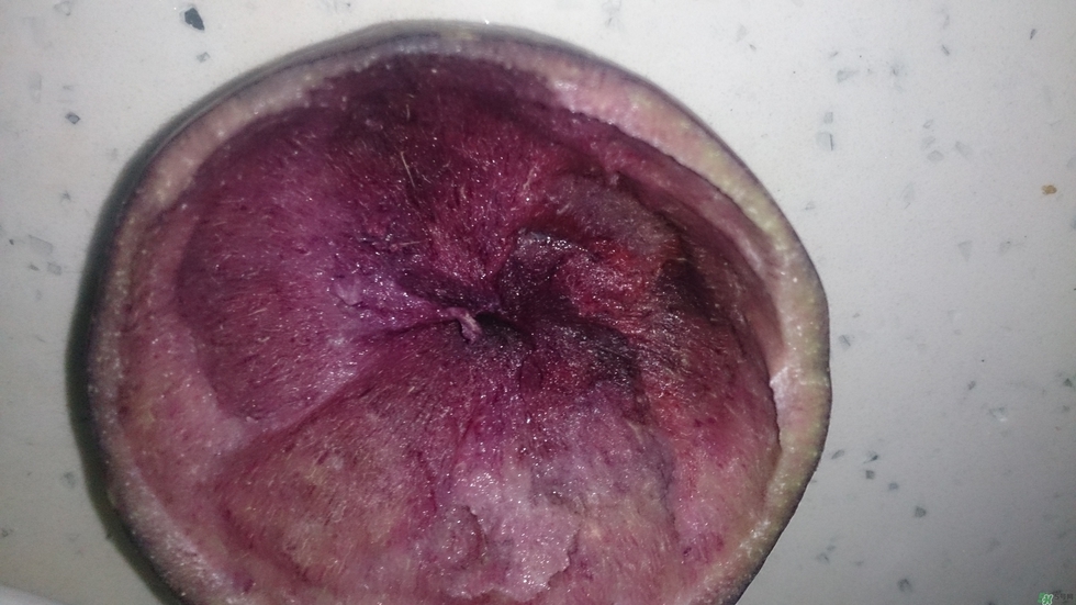 牛奶果怎么吃？牛奶果的功效與作用